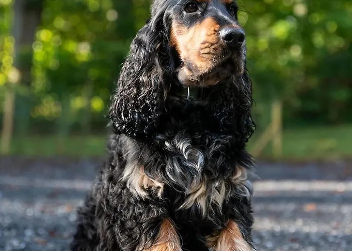 Pensión Grand Maur Spa